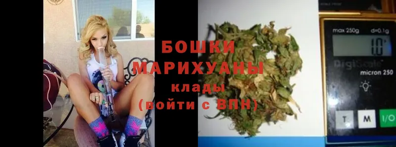 Бошки марихуана Bruce Banner  где купить наркоту  Арск 